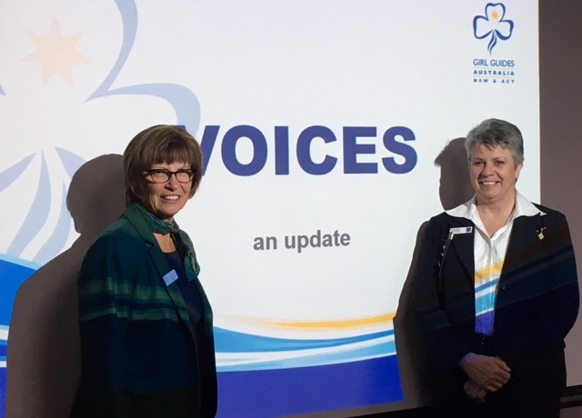 Picture of two women standing either side of a projection screen, which has the words "Voices - an update" on it