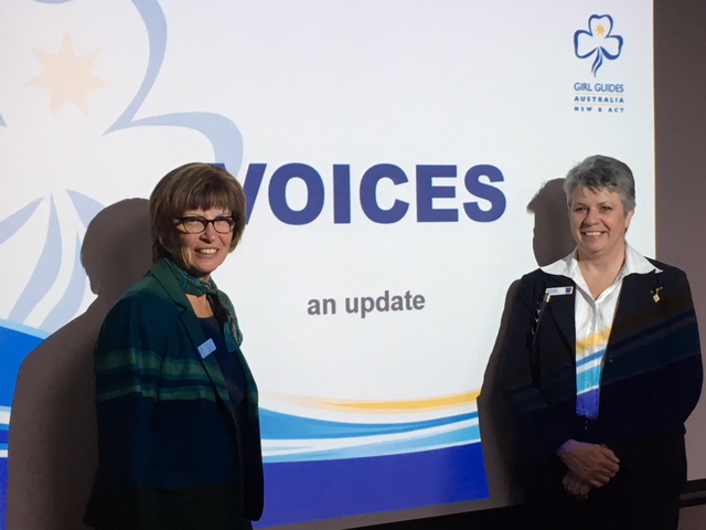 Picture of two women standing either side of a projection screen, which has the words "Voices - an update" on it