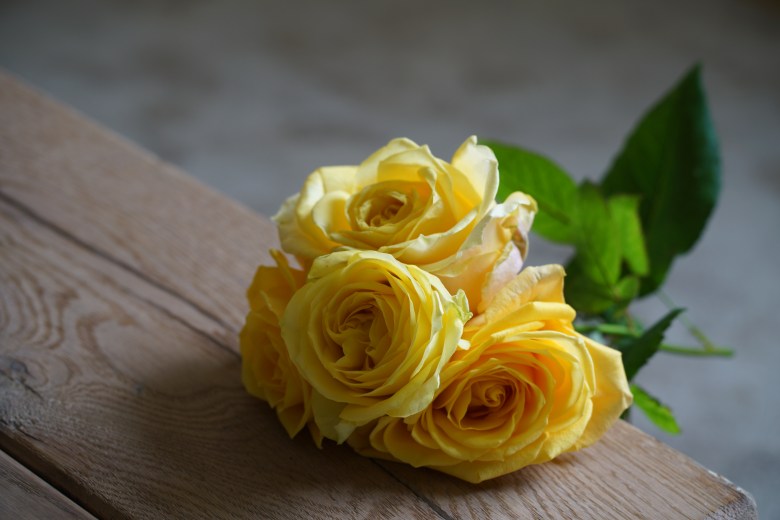 A picture of four yellow roses with green stems sitting on a wooden bench